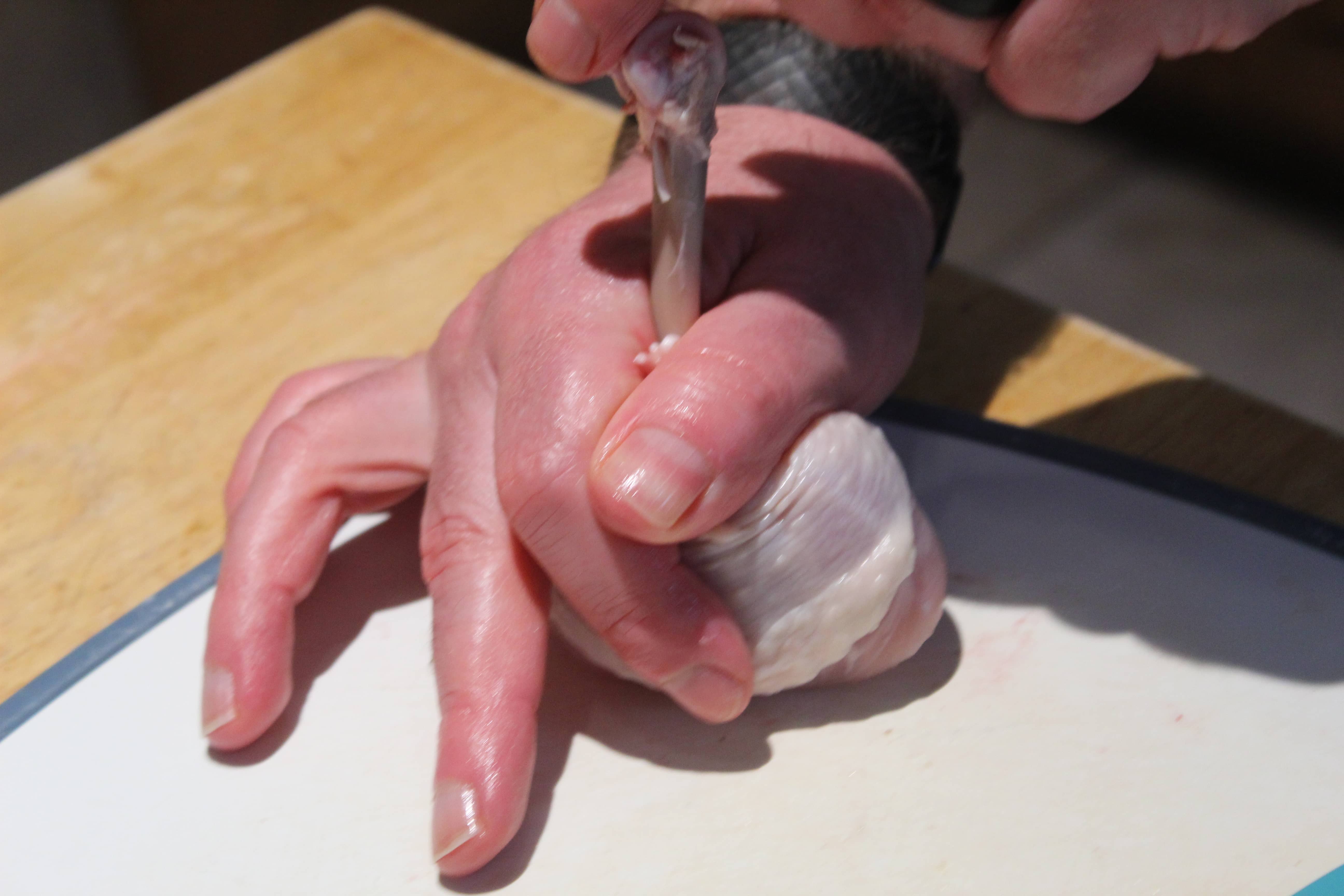 Prepared Shrimp